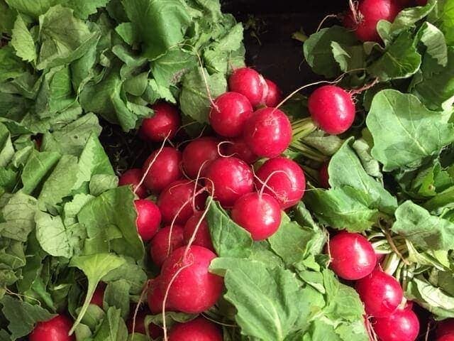 radishes with their leaves