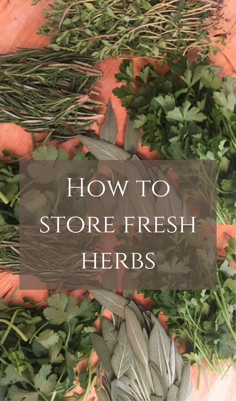 How to store fresh herbs