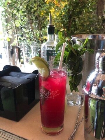 Close up of berry Mule on table