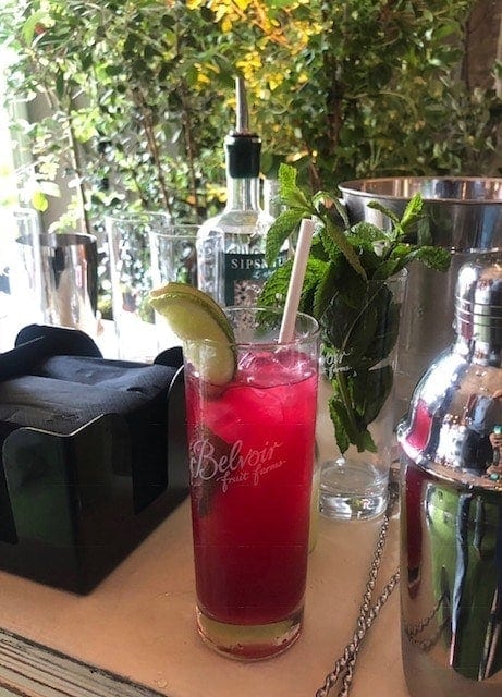 Close up of berry Mule on table