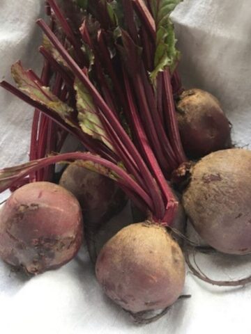 bunch of raw beets on white cloth