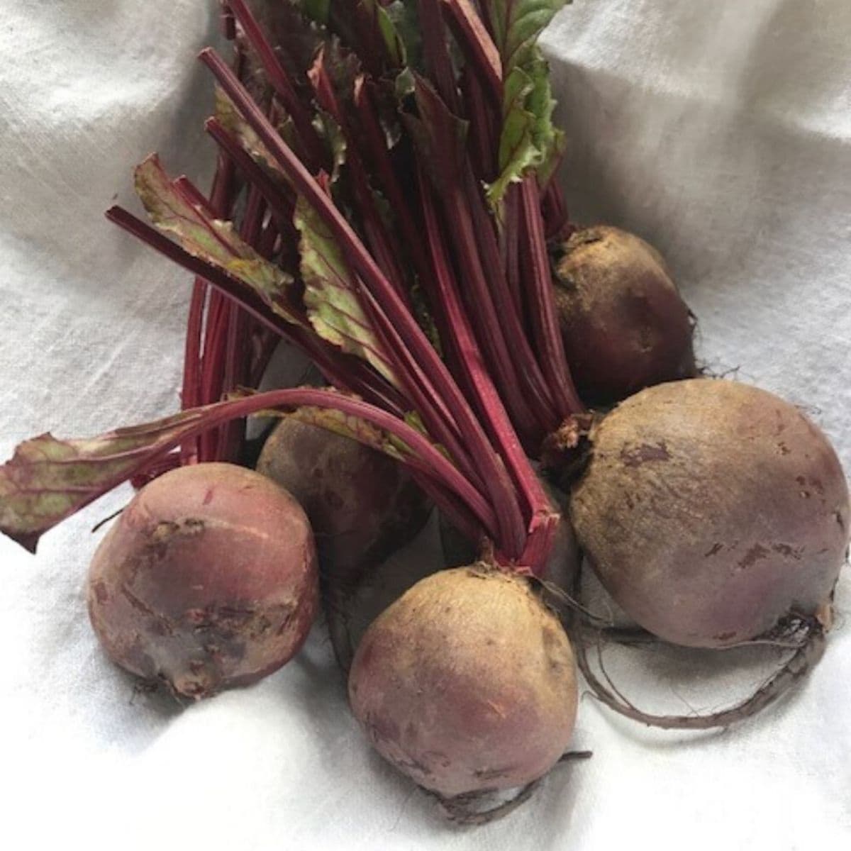 A bunch of raw beets on white cloth.