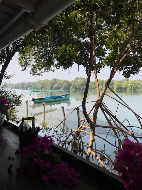 View of a boat on the river from the restaurant