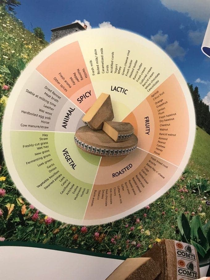 view of Comté flavour chart