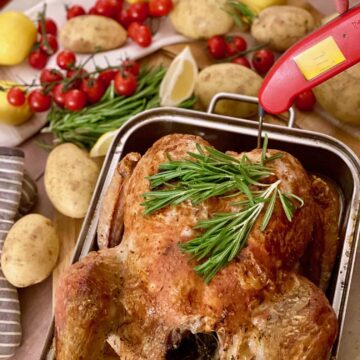 Measuring temperature of turkey resting in pan