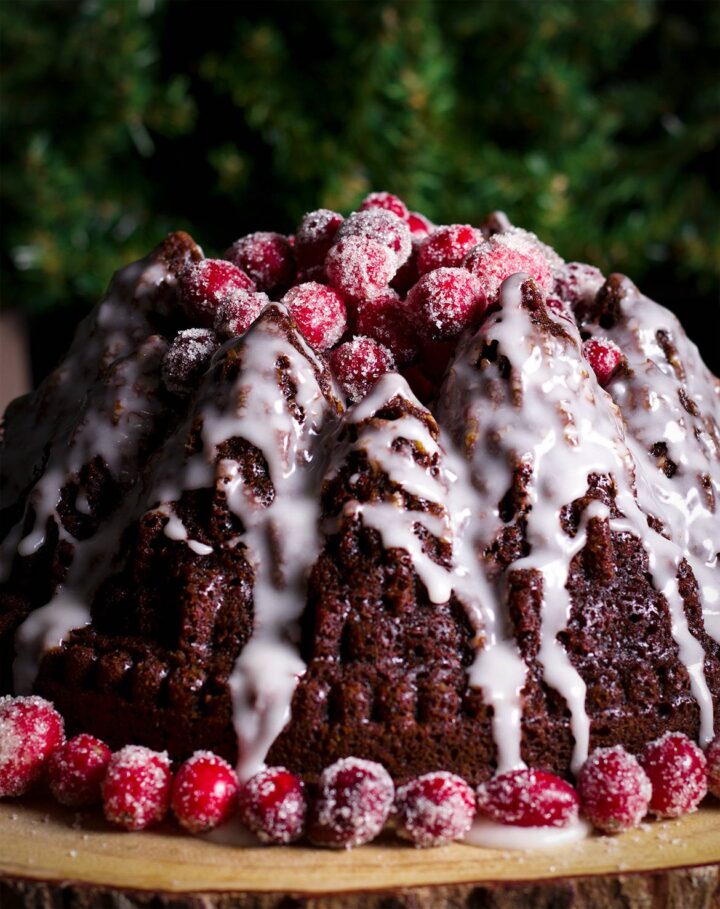 close-up of gingerbread cake with cranberry garnish