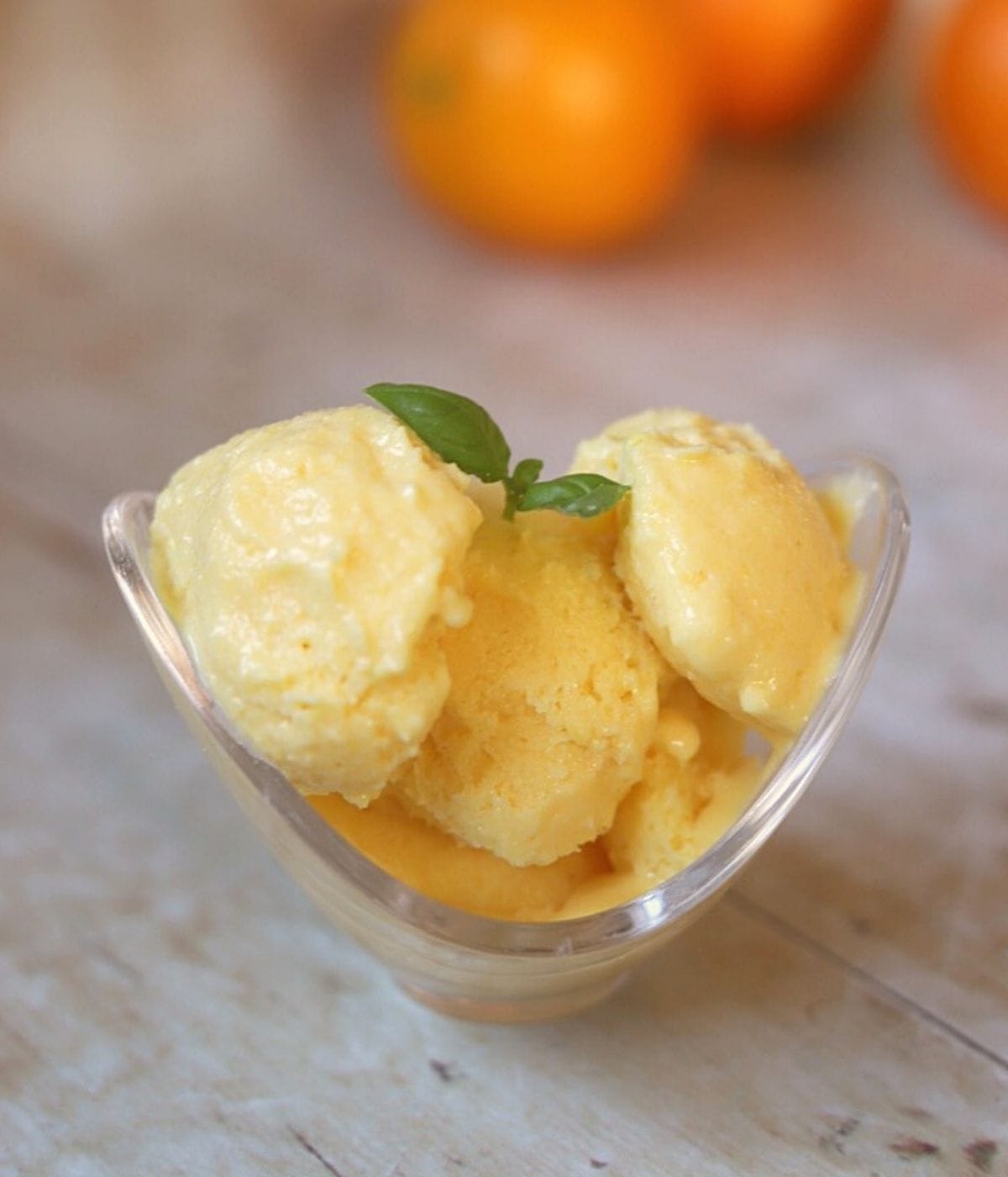 Orange frozen yogurt with sprig of basil in bowl