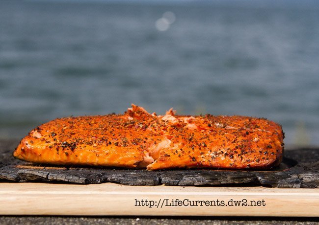 Image of grilled salmon on a charred cedar plank.