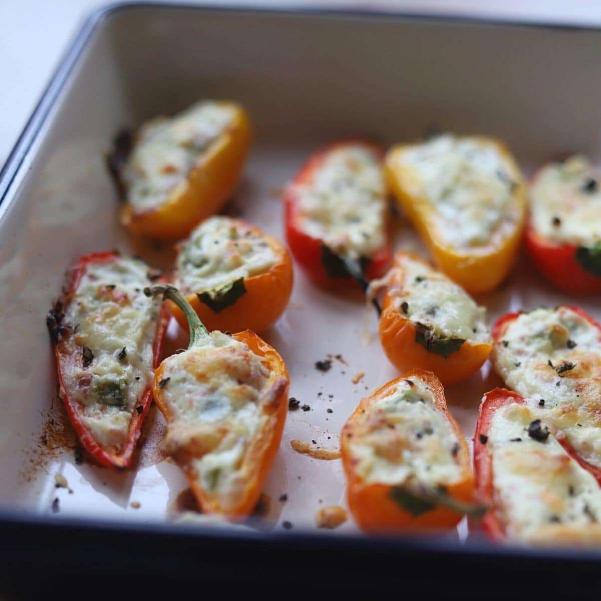 Freshly roasted stuffed peppers in roasting dish.