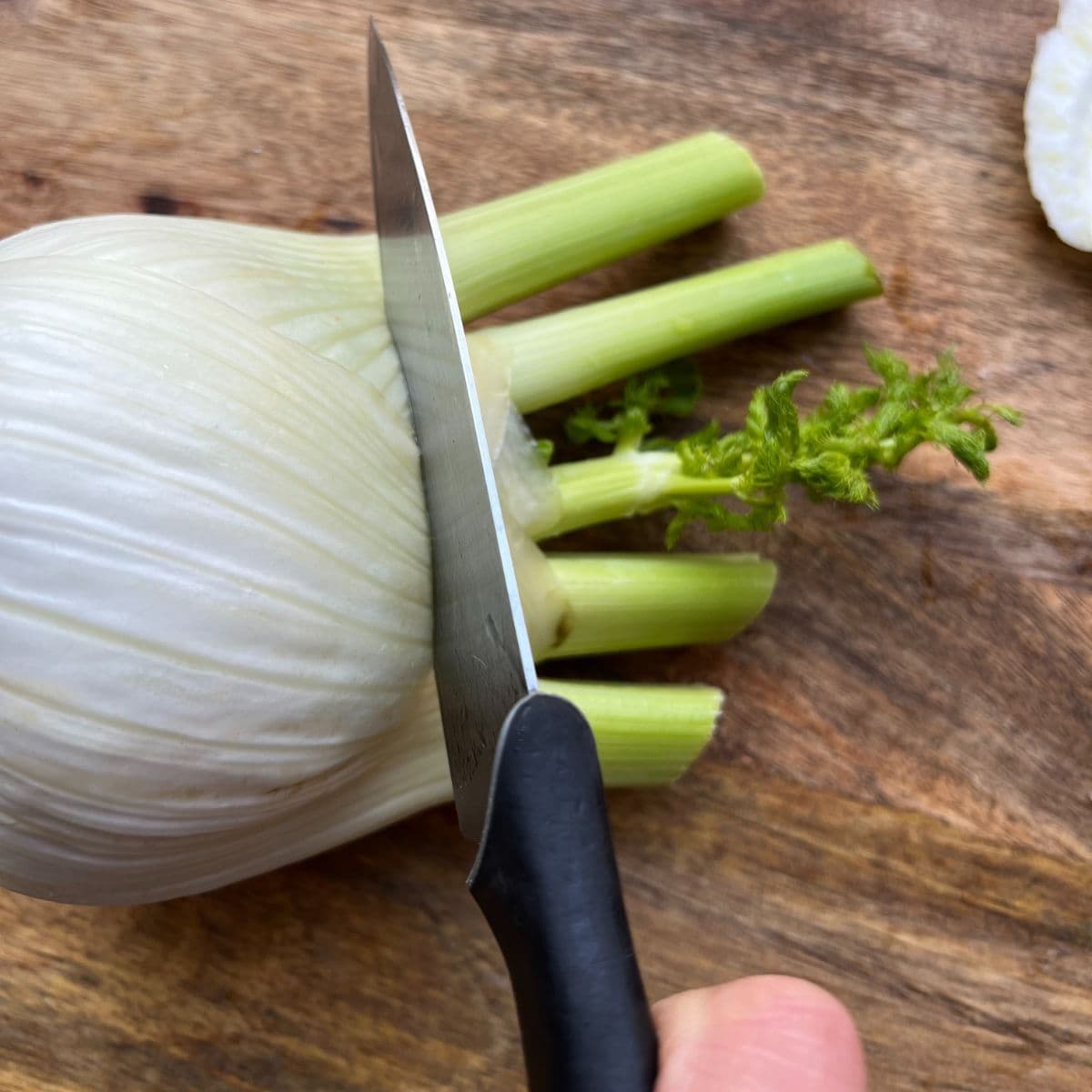 Cutting the top of the fennel.