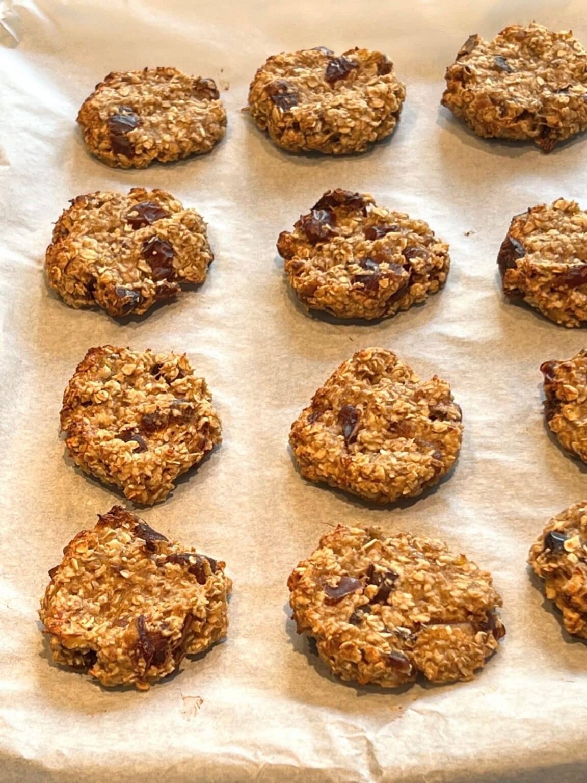 4 Ingredient Banana Oatmeal Cookies (Vegan) End of the Fork