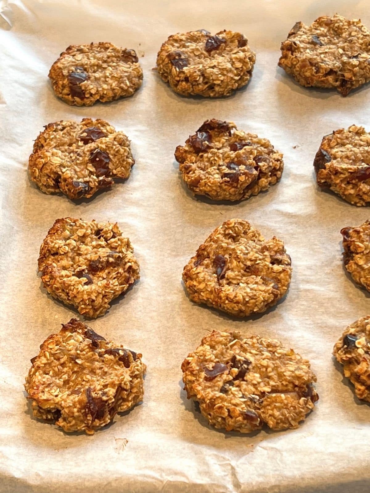 Baked oat cookies on a lined baking sheet.