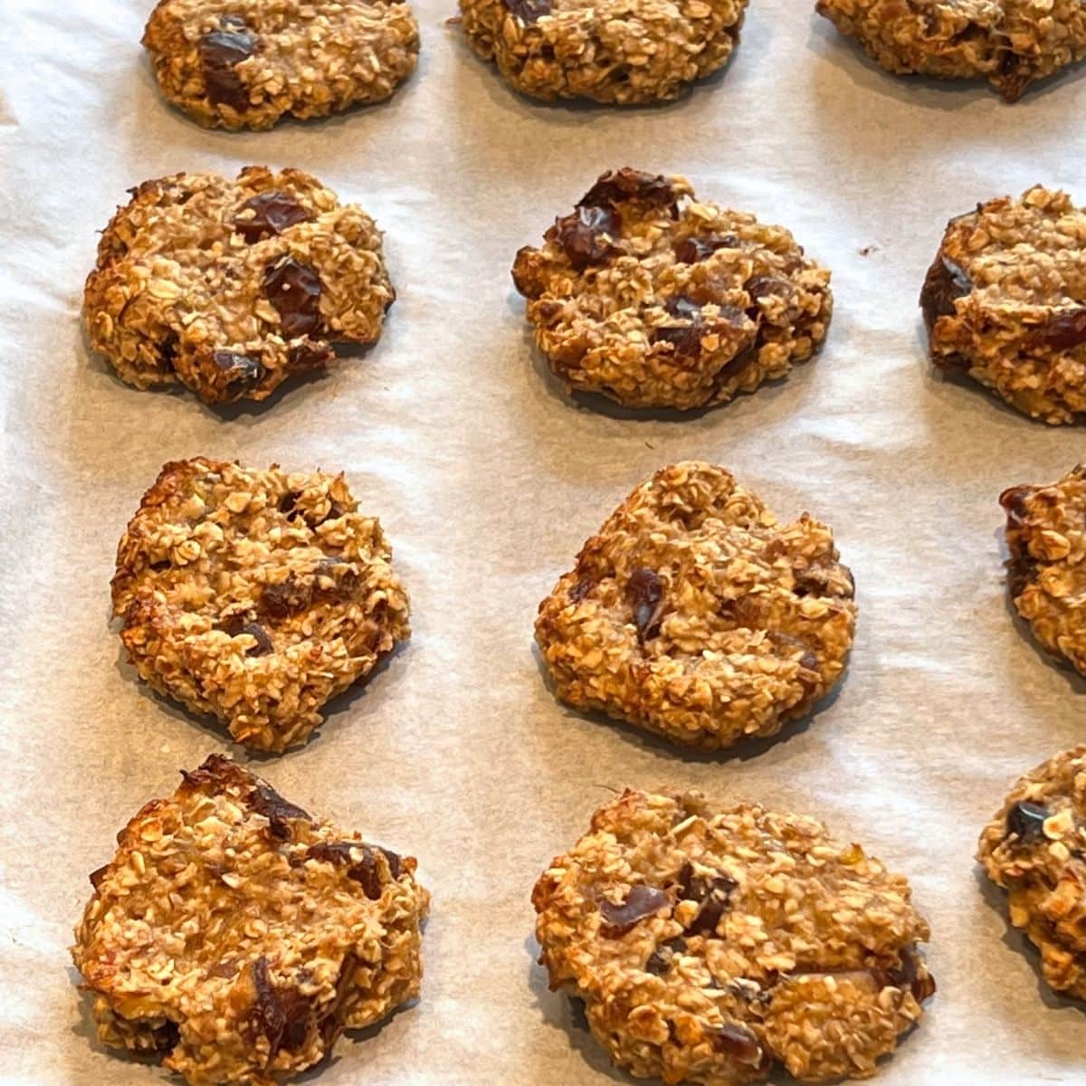 Banana and date oat cookies on a lined baking sheet.