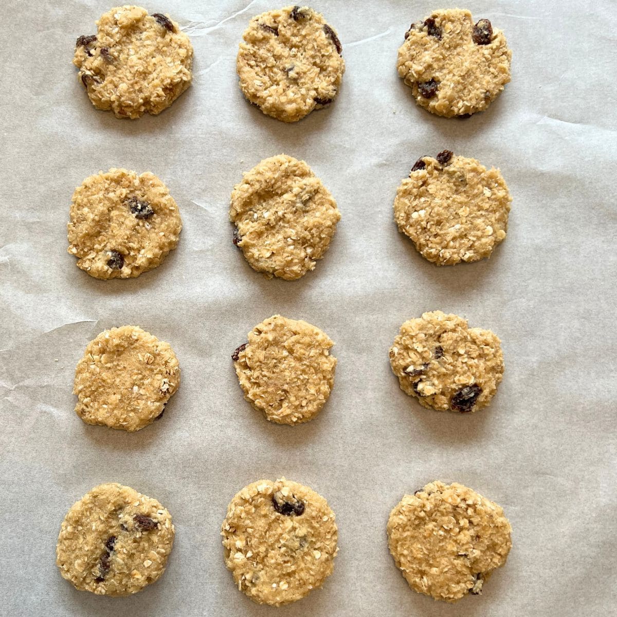 Pressed cookies on lined baking sheet.