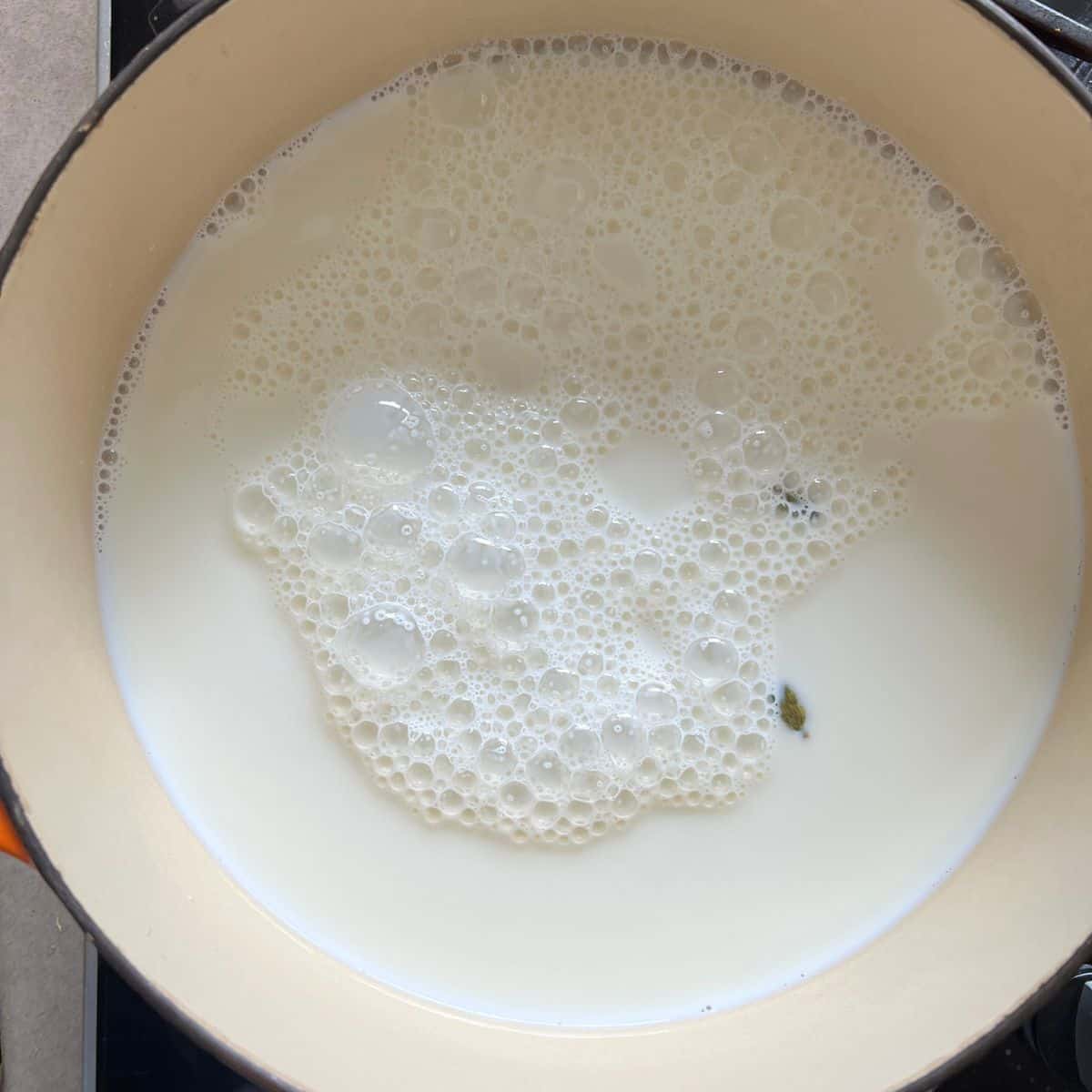 Boiling milk and cardamom pods in saucepan.