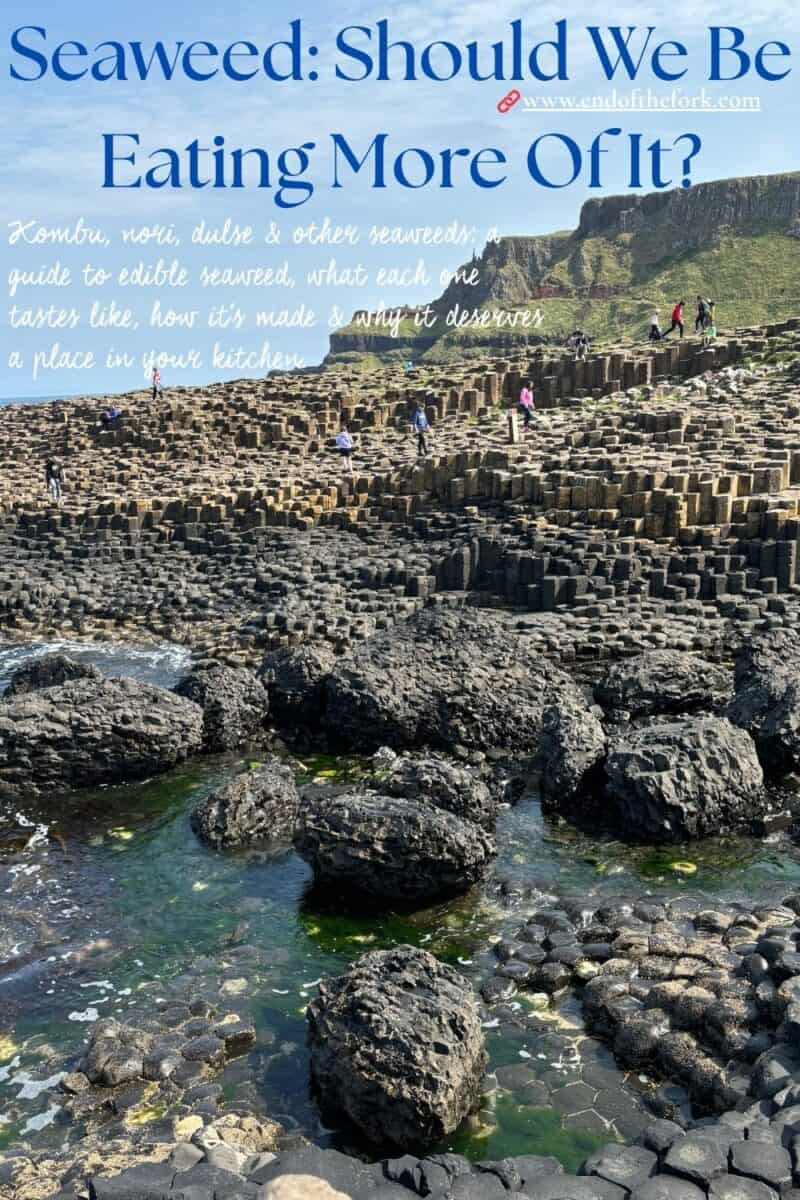 Pin image with text of seaweed floating in the sea.