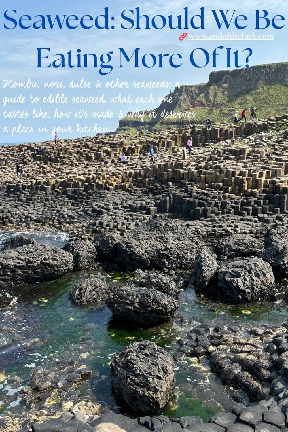 Pin image with text of seaweed floating in the sea.