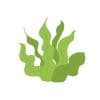 Small cartoon of green seaweed