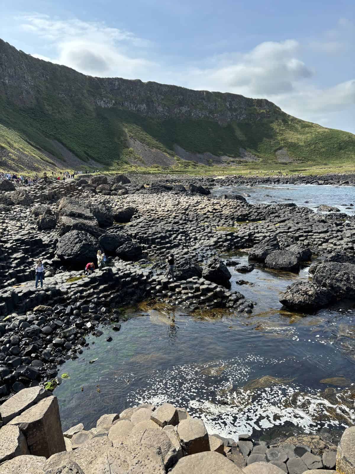 Seaweed spaghetti amongst rocks in shallow water Ireland.