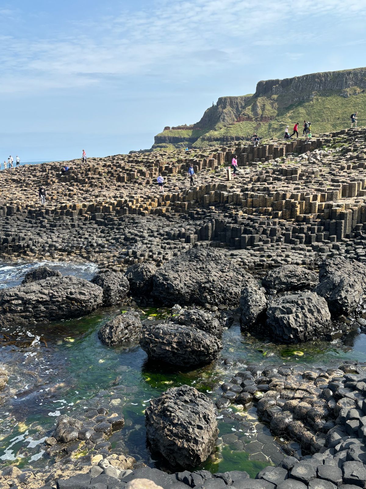 Seaweed in shallow water amongst rocks in Ireland