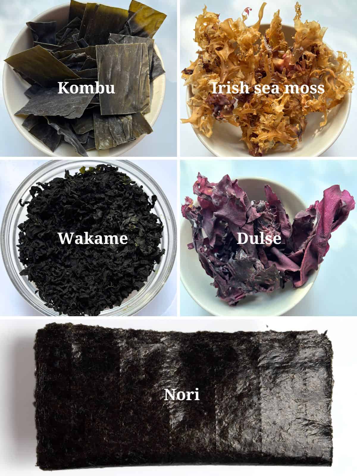 Images of Kombu, Irish sea moss, wakame, dulse and nori seaweeds