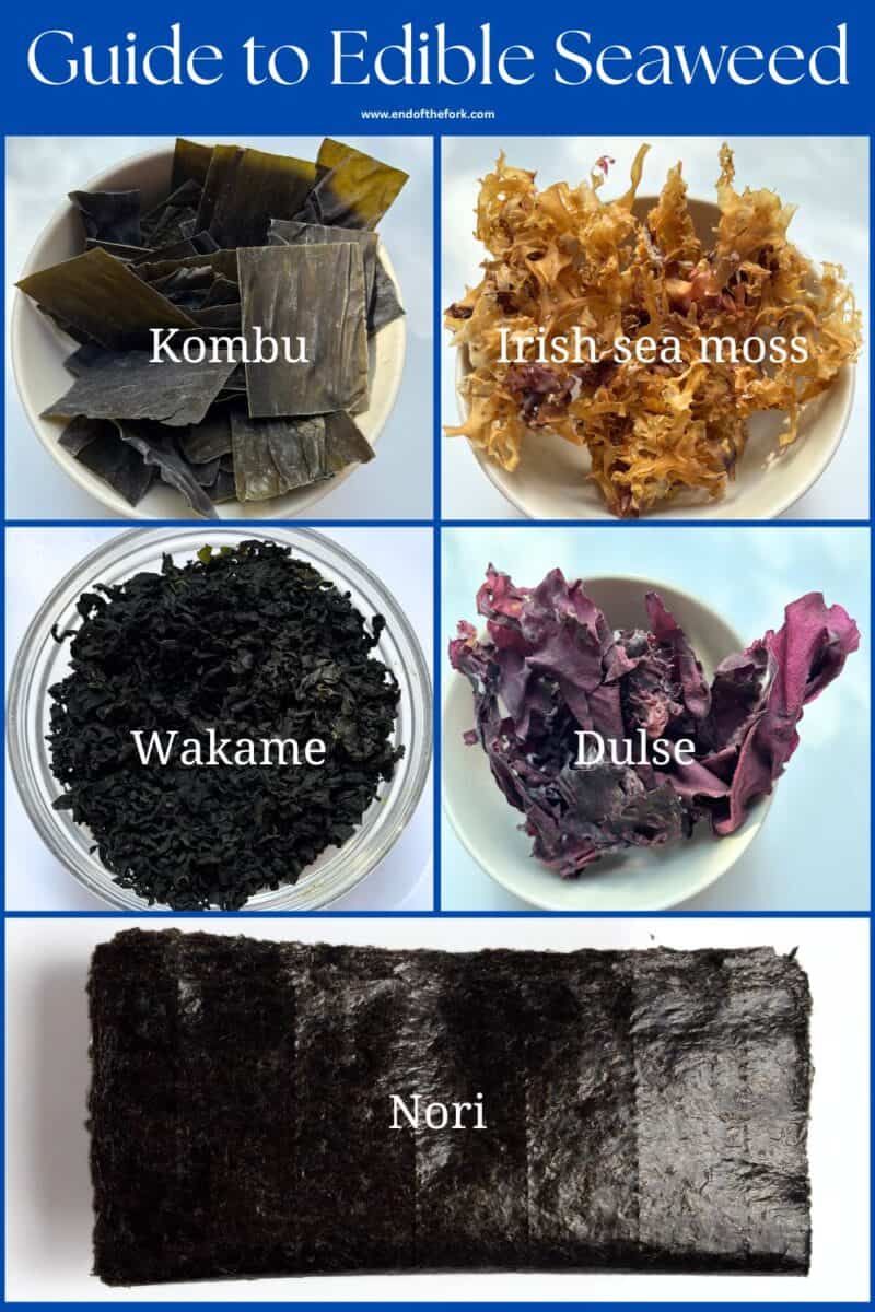 Images of common edible seaweed